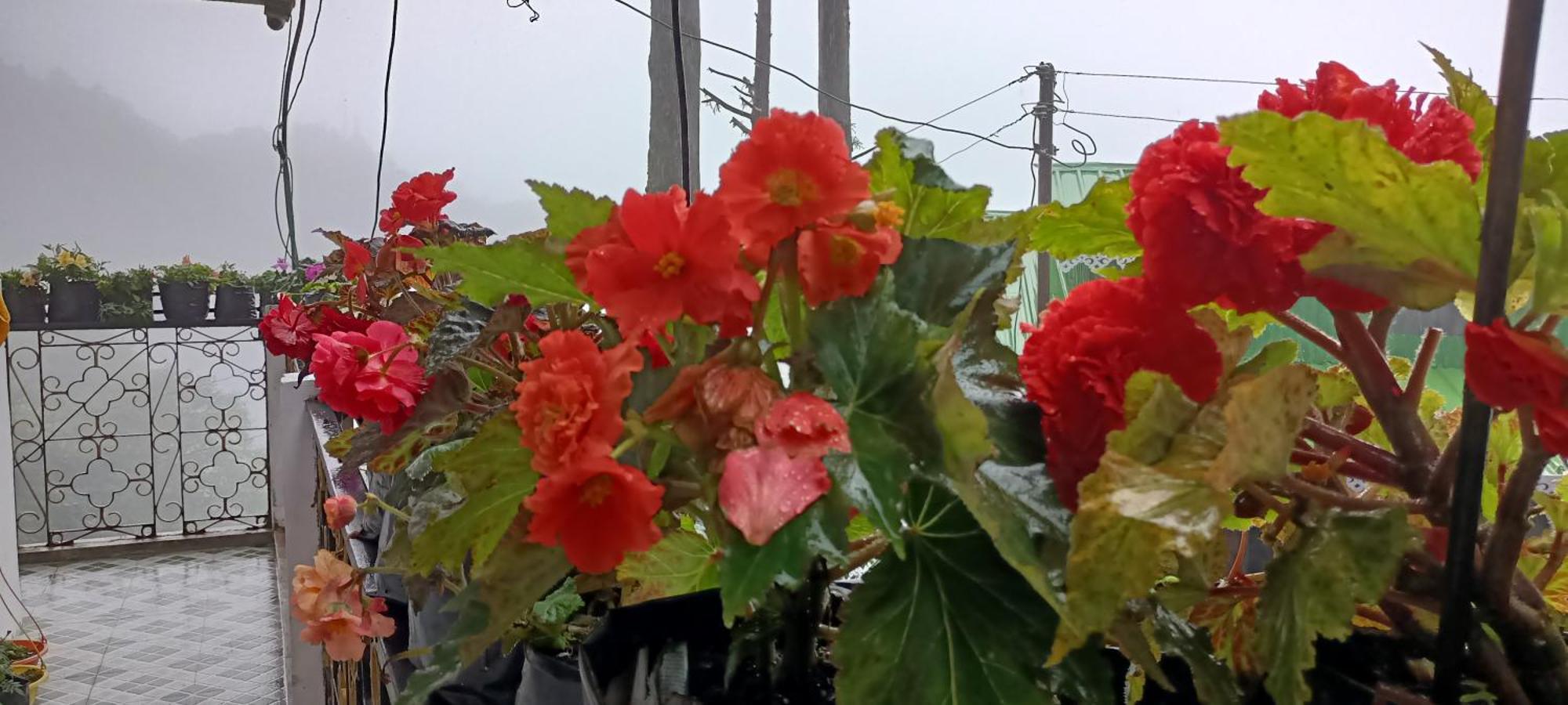 Tharbaling Homestay ดาร์จีลิง ภายนอก รูปภาพ