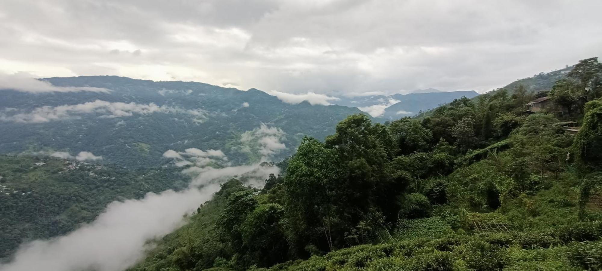 Tharbaling Homestay ดาร์จีลิง ภายนอก รูปภาพ